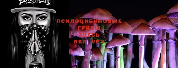 сатива Баксан