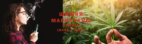сатива Баксан