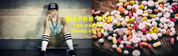 сатива Баксан